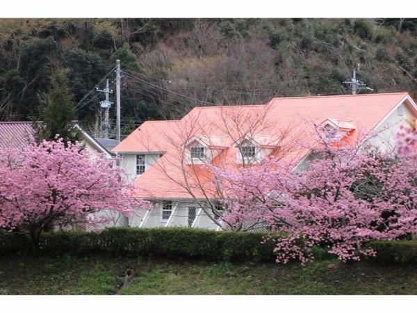 Pension Hidamari Минамиидзу Экстерьер фото
